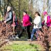 EKO-Zdrowie - nordic walking dla dorosłych